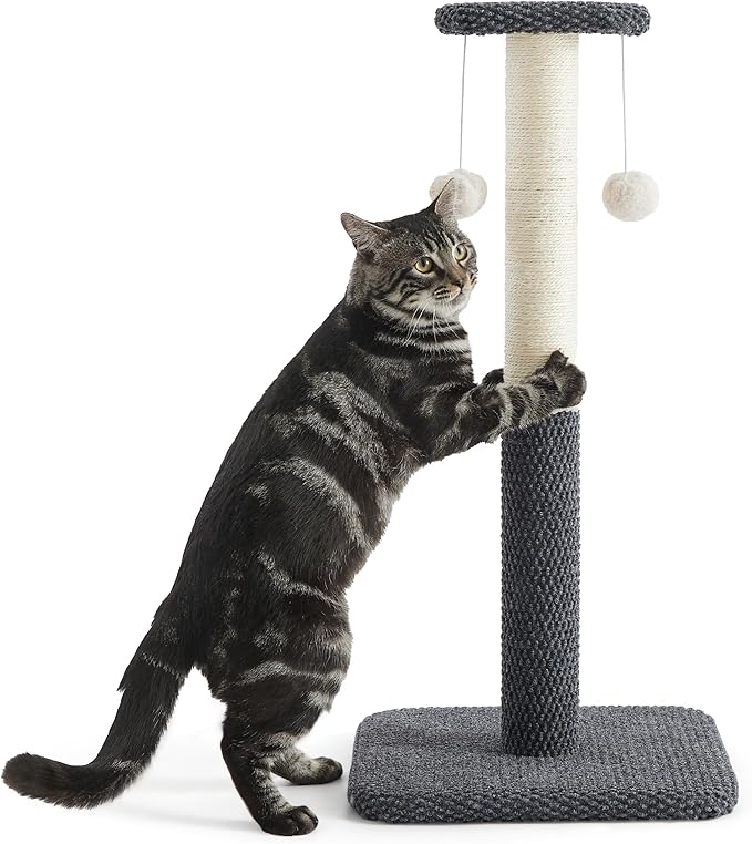 Lesure 29" Tall Cat Scratching Post - Premium Sisal Rope Highly Resistant Carpet Scratching Posts for Indoor Cats Adults, Sturdy Large Cat Scratch Pole with Hanging Ball, Grey(29 inch)