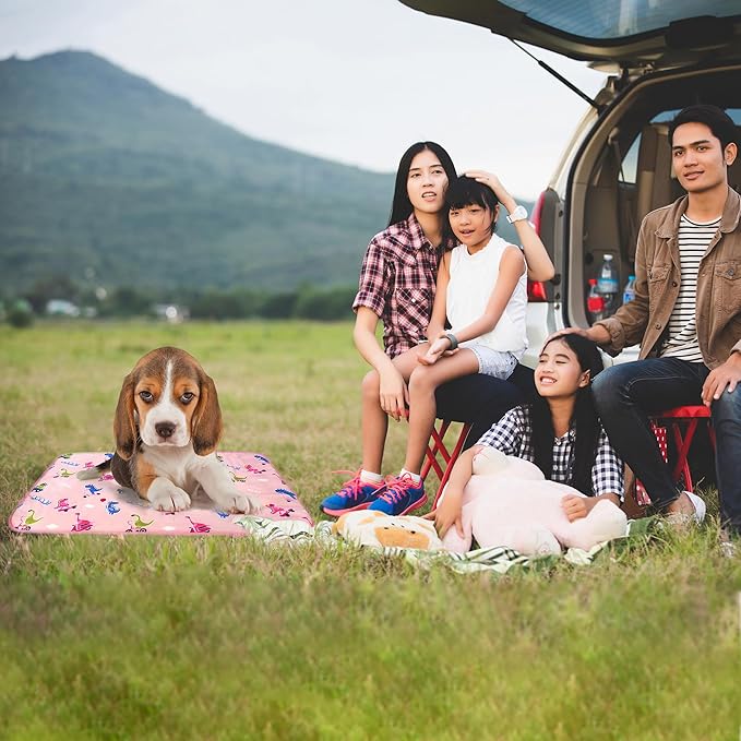 DELIFUR Dog Cooling Mat- Pet Cooling Mat Outdoor for Dogs Self Cooling Pad for Puppy Small Medium Dog Machine Washable (Large, Pink)