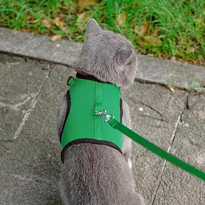 PUPTECK Soft Mesh Cat Vest Harness and Leash Set Puppy Padded Pet Harnesses Escape Proof for Cats Small Dogs Rabbits Bunny, Deep Green Medium
