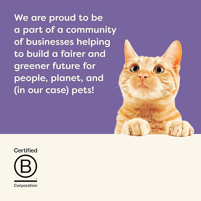 Applaws Natural Wet Cat Food in Broth, Limited Ingredient Wet Cat Food Pouches, No Additives, Made with Natural Ingredients, Cat Food Fish Variety Pack in Broth (12 x 2.47oz Pouches)