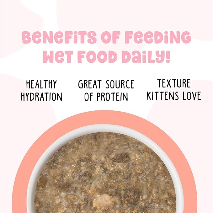 B.F.F. Kitten, Cha Cha Cha, 2.8oz Can (Pack of 12)