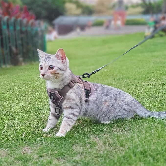 Cat Harness and Leash Set Escape Proof Tactical Small Kitten Harness Emotional Support Cat Vest, Brown, S
