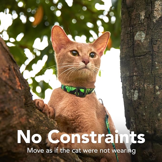 Cat Harness and Leash Set - Escape Proof Vest Harness for Cat, Comfortable Soft Lightweight, Easy Adjustable Cat Collar Harness for Small Medium Large Cats (Cat Whispers)