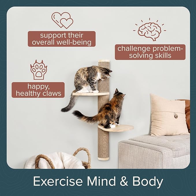 Ascentials - Sunrise Steps - Wall Post w/Climbing Corrugate Shelves, Extendable w/Modern Design, Scratching Surface & Natural Materials