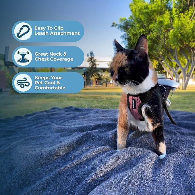 Voyager Step-in Lock Adjustable Cat Harness w. Cat Leash Combo Set with Neoprene Handle 5ft - Supports Small, Medium and Large Breed Cats by Best Pet Supplies - Pink/Black Trim, XXS