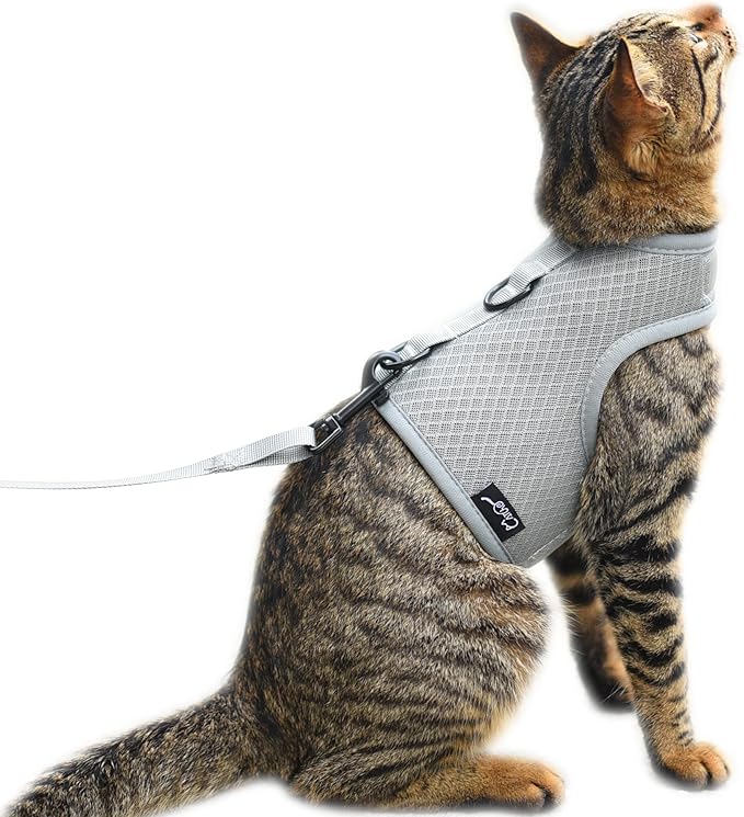 Kitty Harness and Leash for Walking Escape Proof Breathable Mesh Fabric, Solid Grey, X-Small, Adjustable Cat Walking Jackets, Padded Stylish Cat Vest