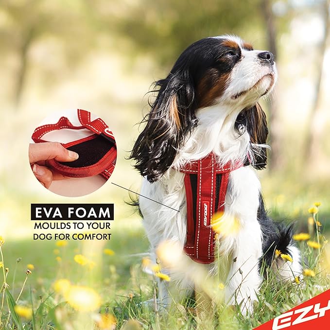 EzyDog Premium Chest Plate Custom Fit Reflective No-Pull Padded Comfort Dog Harness - Perfect for Training, Walking, and Control - Includes Car Restraint Attachment (Medium, Corduroy)