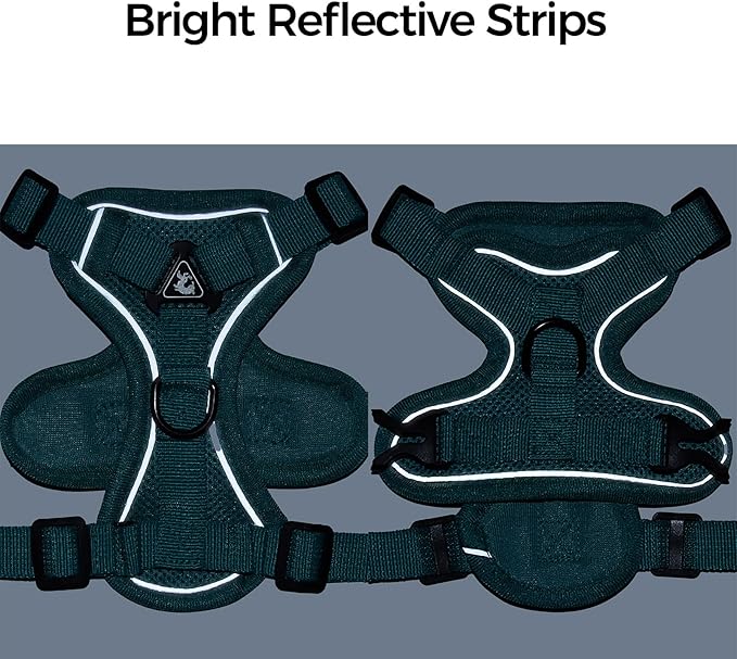 Cat Harness and Leash Set Escape Proof Tactical Extra Large Kitten Harness Emotional Support Cat Vest, Turquoise, XL