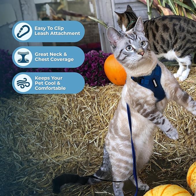 Voyager Step-in Lock Adjustable Cat Harness w. Cat Leash Combo Set with Neoprene Handle 5ft - Supports Small, Medium and Large Breed Cats by Best Pet Supplies - Royal Blue, XXS