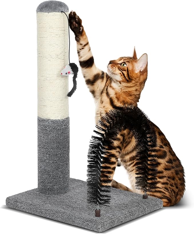 18 Inch Cat Scratching Post Pad with Cat Self Groomer,Cat Scratcher with Cat Brush,Kitten Scratch Post with Activity Dangling Ball,Indoor Cat Scratch Board for Kittens Kitty Cats,Protect Furniture