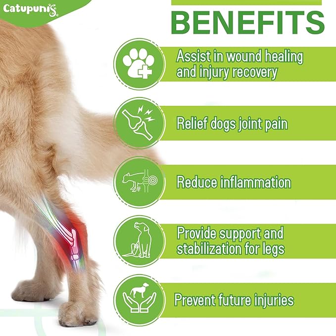 2PCS Dog Braces for Back Leg for Support. Dog Arthritis Brace. Hind Leg Support for Dogs. Leg Brace for Dogs Back Leg. Dog Leg Brace. Dog Back Leg Support Brace. Dog Hock Brace Rear Leg (XL)