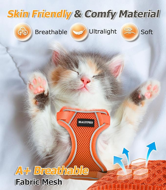 Halypet Cat Harness and Leash Set [MAX Safety 4th-Gen Upgrade] Escape Proof Adjustable Cat Leash Comfortable Soft Vest Easy to Wear Kitten Harness with Reflective Strip for Cats Walking, M Orange