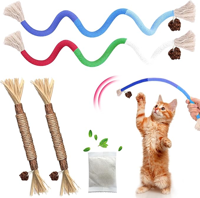 4 Pcs Cat & Kitten Chew Toy, Cat Toys Chew Ropes and Silvervine Cat Chew Sticks with Refillable Natural Catnip Bag for Teeth Cleaning, Safe Interactive Cat Toys for Indoor Cats