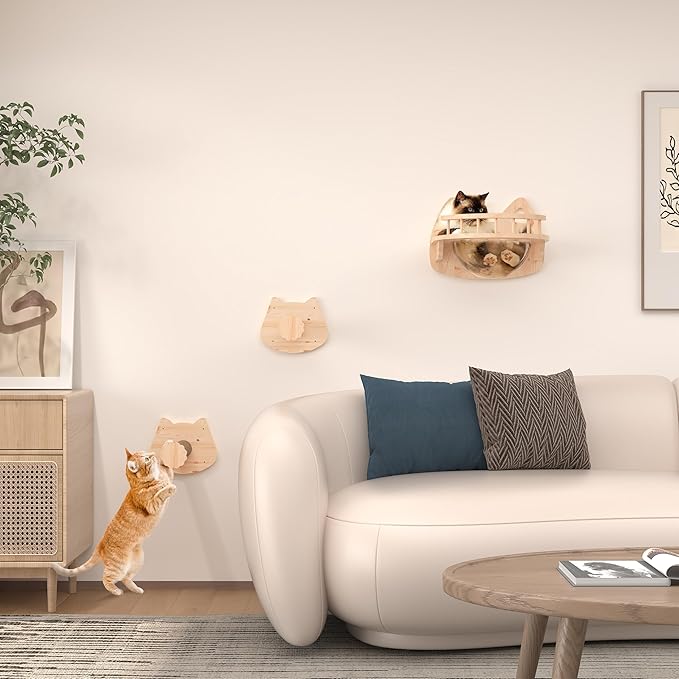 Transparent Capsule Cat Wall Furniture Set of 3, Cat Shelves with 2 Sisal Scratching Steps, Wall Mounted Cat Bed for Kitty or Cats up to 33 lbs
