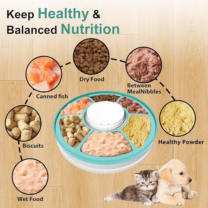 Automatic Cat Feeder Wet Food/Dry Food, 6Meal Timed Pet Feeder Easily Programmable &Easy to Clean, Auto Feeder for Cats/Small Dogs(Green)