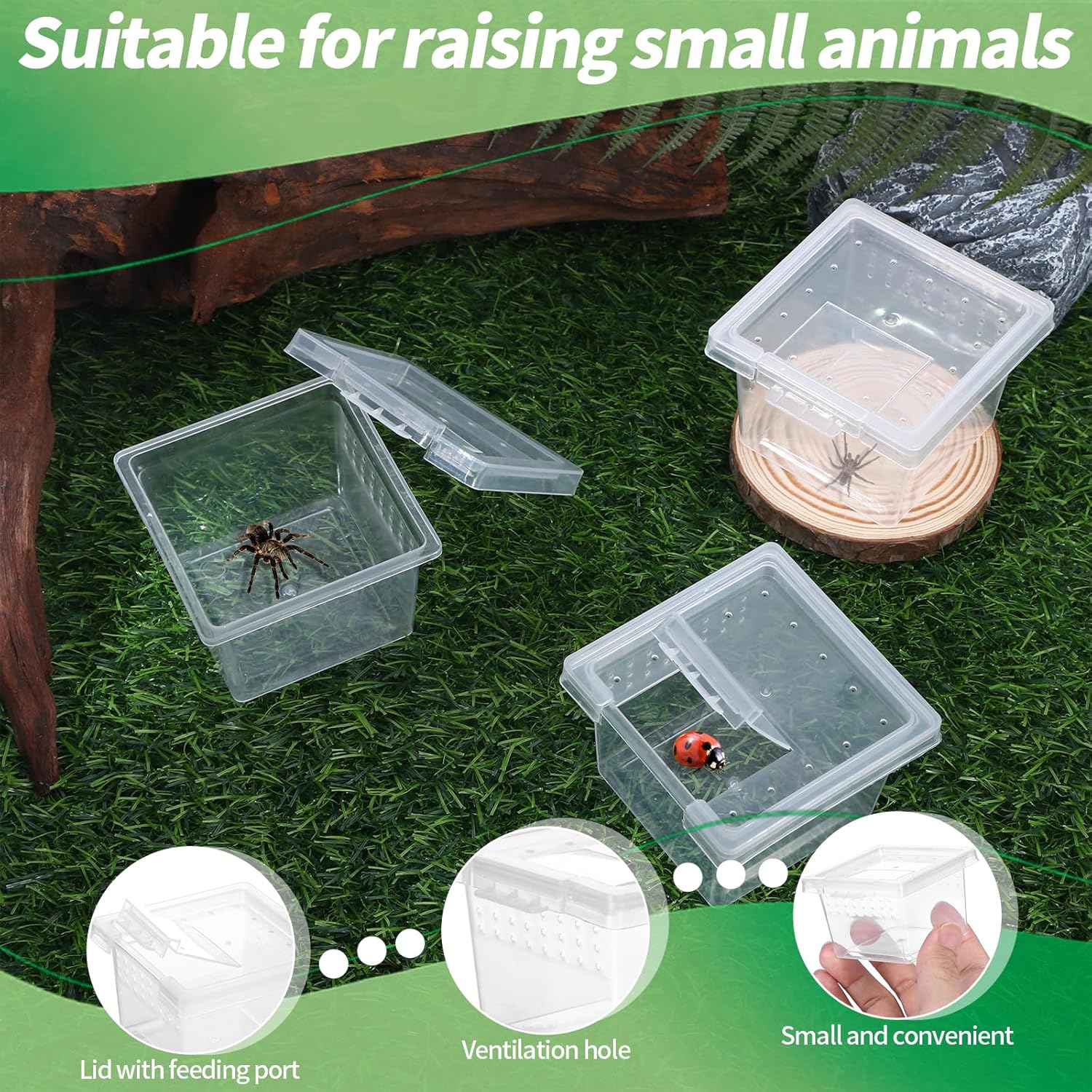 10Pcs Plastic Critter Keeper,Transparent Cricket Keeper for Reptiles,Mini Reptile Feeding Box Kids Bug Catching Kit Suitable for Crickets Scorpions Frogs Centipedes Lizards PP Breeding Box