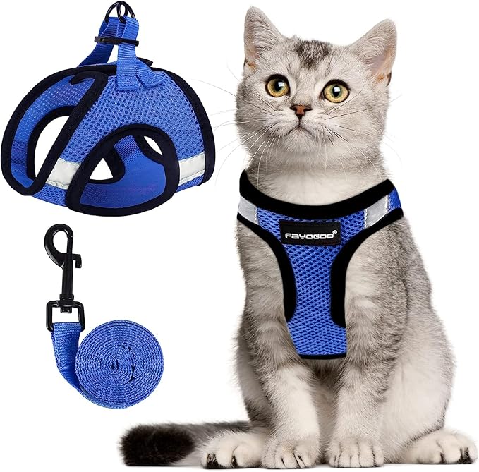 FAYOGOO Cat Harness, Cat Leash and Harness Set for Walking Escape Proof, Harness for Small Cats/Small Dogs, Large Kitten/Puppy Harness and Leash, Harness for Cats S-XXL(Royal Blue, XX-Large)