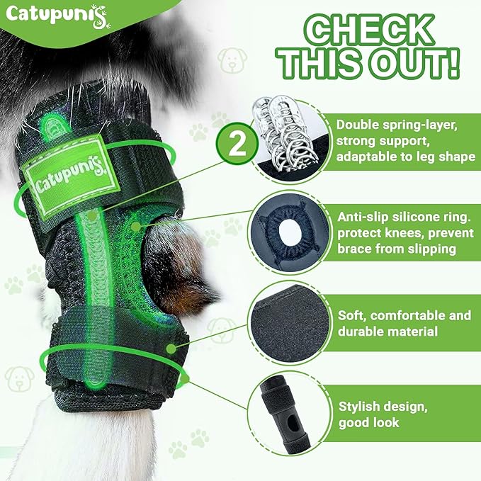 2PCS Dog Braces for Back Leg for Support. Dog Arthritis Brace. Hind Leg Support for Dogs. Leg Brace for Dogs Back Leg. Dog Leg Brace. Dog Back Leg Support Brace. Dog Hock Brace Rear Leg (M)