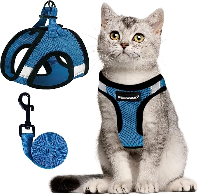 FAYOGOO Cat Harness, Cat Leash and Harness Set for Walking Escape Proof, Harness for Small Cats/Small Dogs, Large Kitten/Puppy Harness and Leash, Harness for Cats S-XXL(Tranquil Teal, Large)