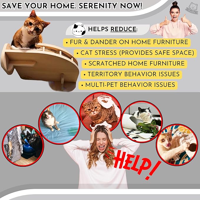 Cat Wall Shelves - Large Cat Shelves w/Pillow + 3 Wide Steps, Cat Wall Furniture, Cat Shelves for Wall, Cat Climbing Wall | Cat Shelf, Cat Wall Steps, Cat Tree, Cat Window Perch