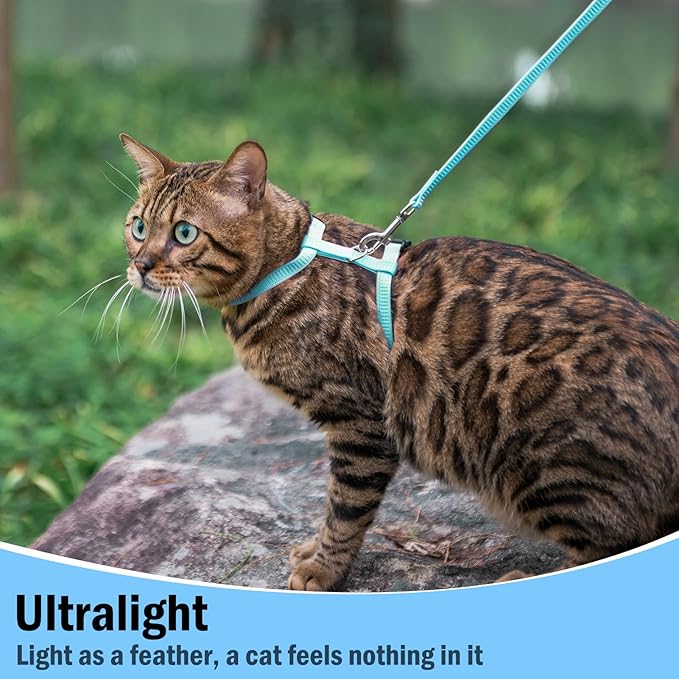 PUPTECK Adjustable Cat Harness and Leash Set Escape Proof Kitten Strap Collar for Walking Travel, Sky Blue, M