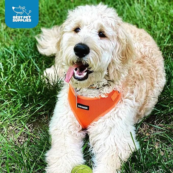 Voyager Step-in Lock Pet Harness - All Weather Mesh, Adjustable Step in Harness for Cats and Dogs by Best Pet Supplies - Orange, L