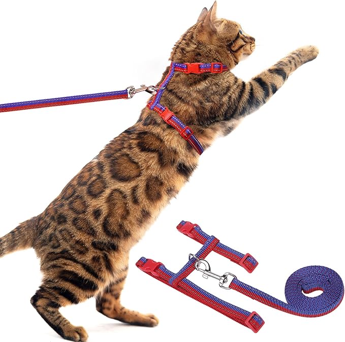 PUPTECK Adjustable Cat Harness and Leash Set Escape Proof Kitten Strap Collar for Walking Travel, Red Blue
