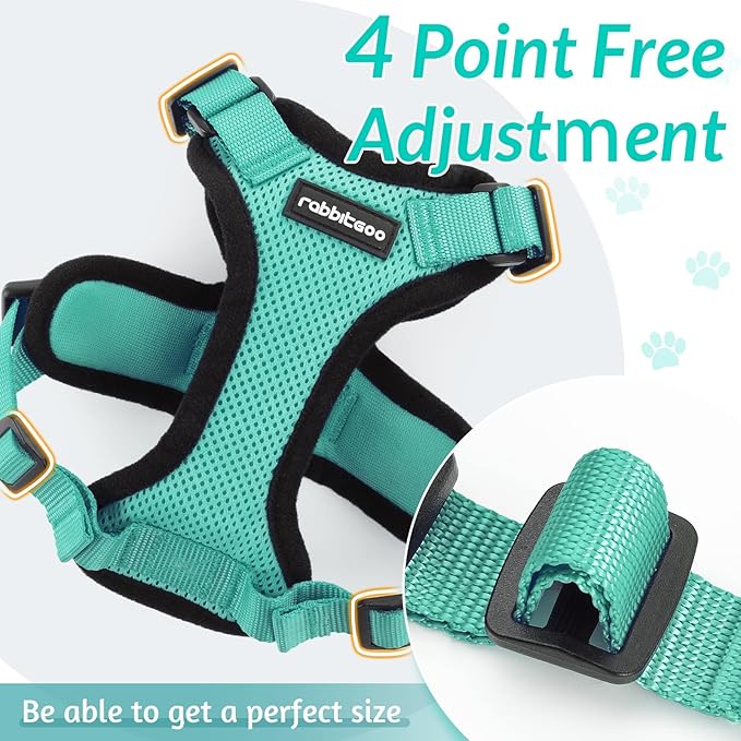 rabbitgoo Cat Harness and Leash for Walking, Escape Proof Soft Adjustable Vest Harnesses for Cats, Easy Control Breathable Reflective Strips Jacket, Emerald, M