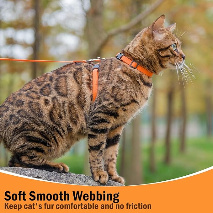 PUPTECK Adjustable Cat Harness and Leash Set Escape Proof Kitten Strap Collar for Walking Travel, Orange, M