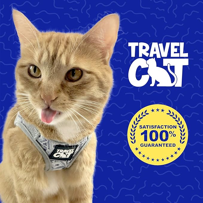 Travel Cat Harness and Leash Set - Adjustable Fit Mesh Cat Harness and Reflective Strap - Comfort Escape Proof Harness for Cats, Kitten for Outdoor Walking, Hiking (Extra Small, Cashcat)