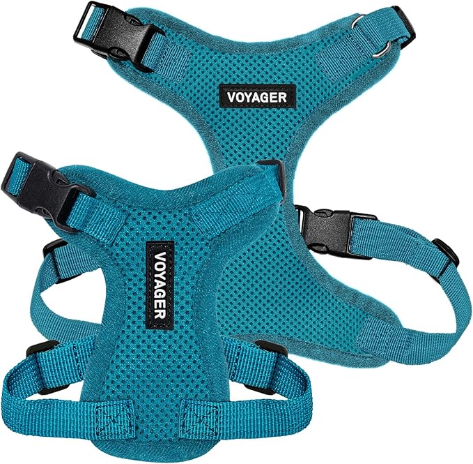 Voyager Step-in Lock Pet Harness - All Weather Mesh, Adjustable Step in Harness for Cats and Dogs by Best Pet Supplies - Turquoise, XS