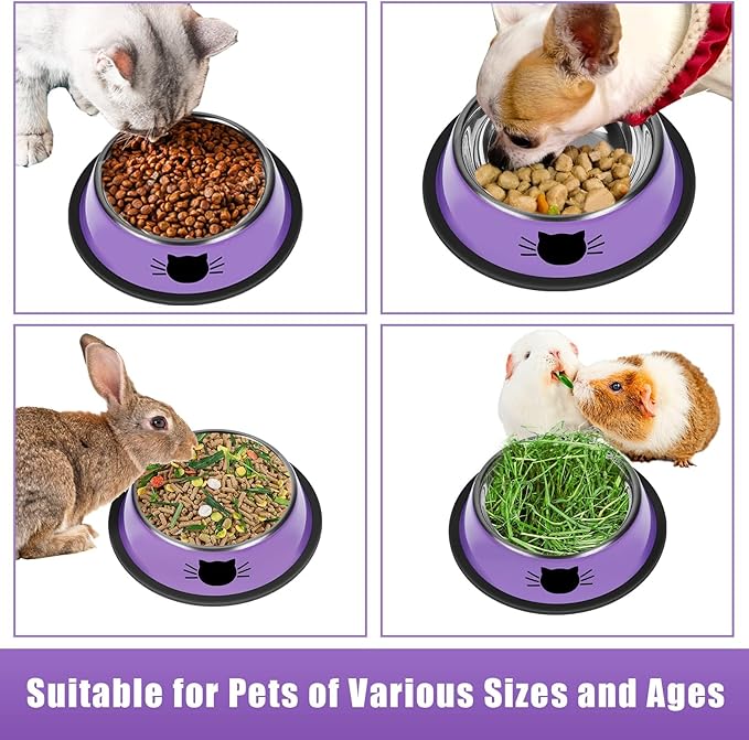 2Pcs Cat Bowls Non-Slip Stainless Steel Small Cat Food Bowls Unbreakable Thicken Cat Feeder 7 Oz Cat Dishes Suitable for Indoor Small Pets Removable Rubber Base Easily Clean Lovely Color
