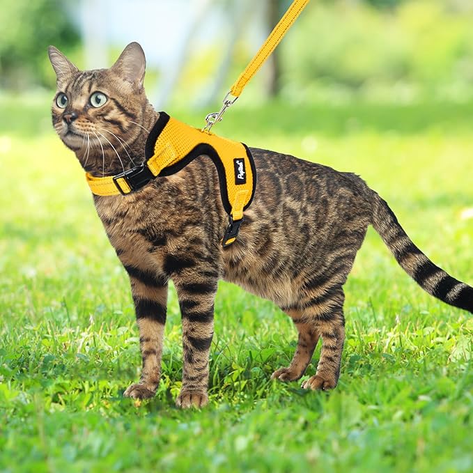 PUPTECK Cat Harness and Leash Set Escape Proof, Reflective Adjustable Soft Mesh Kitten Vest Harness for Walking Travel, Yellow, M