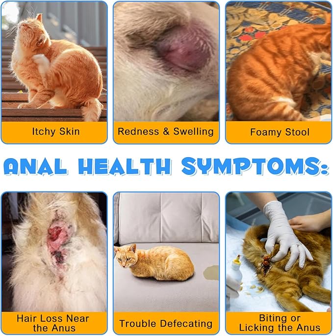 Anal Gland Support Powder for Cats, Anal Gland Supplement Powder with Pumpkin and Probiotics Supports Cats Anal Gland Health, Pet Supplement Anal Gland Support Powder Treatment for Cats - 120g