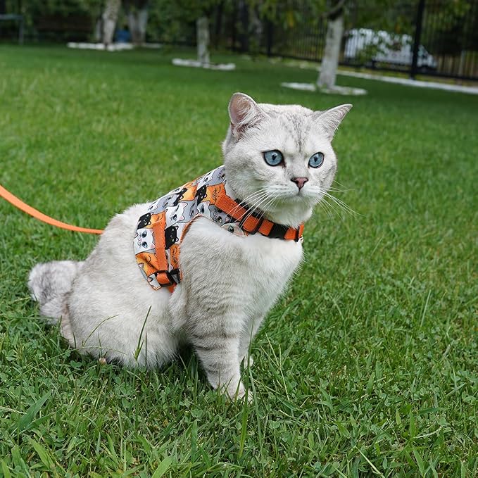 Cat Harness and Leash Set, Cats Escape Proof - Adjustable Kitten Harness for Large/Medium/Small Cats, Walking Travel Petsafe Harness (Orange Cat Pattern, Extra Small)