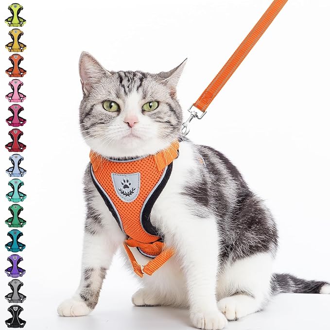 PUPTECK Cat Harness and Leash Set Escape Proof Reflective Cat Walking Harness Adjustable Soft Breathable Mesh Vest for Small Pets, Orange, S
