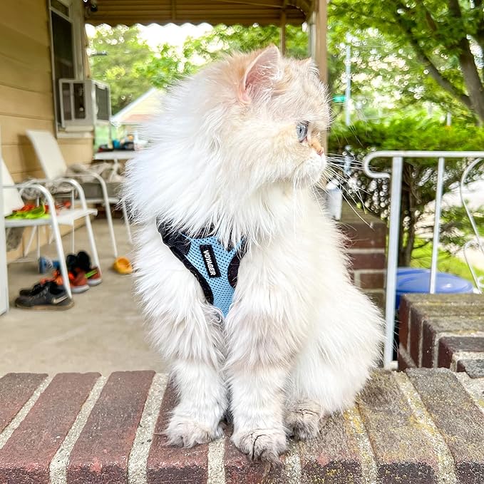 Voyager Step-in Lock Dog Harness w Reflective Dog Leash Combo Set with Neoprene Handle 5ft - Supports Small, Medium and Large Breed Puppies/Cats by Best Pet Supplies - Baby Blue/Black Trim, M