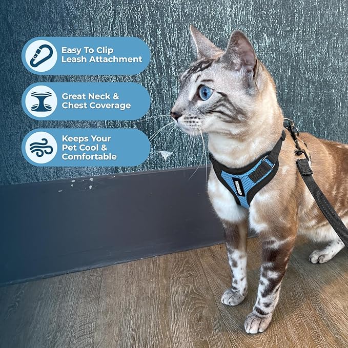 Voyager Step-in Lock Adjustable Cat Harness w. Cat Leash Combo Set with Neoprene Handle 5ft - Supports Small, Medium and Large Breed Cats by Best Pet Supplies - Baby Blue/Black Trim, S