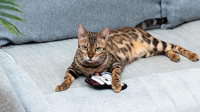 6 Inch Holiday Snoopy Santa Plush Cat Toy with Catnip | Red and White Charlie Brown Snoopy Plush Cat Toy | Small Catnip Cat Toys - Cute and Soft Stuffed Cat Toys