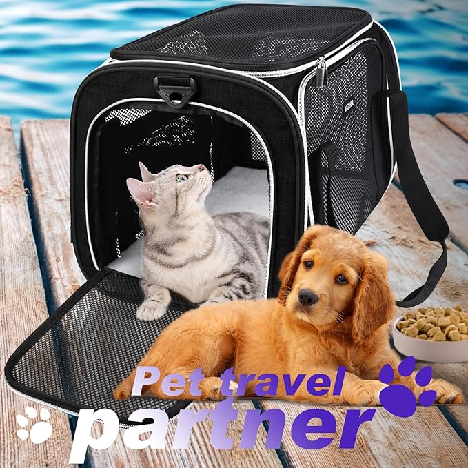 BAGLHER Pet Travel Carrier, Cat Carriers Dog Carrier for Small Medium Cats Dogs Puppies, Airline Approved Small Dog Carrier Soft Sided, Collapsible Puppy Carrier. Black