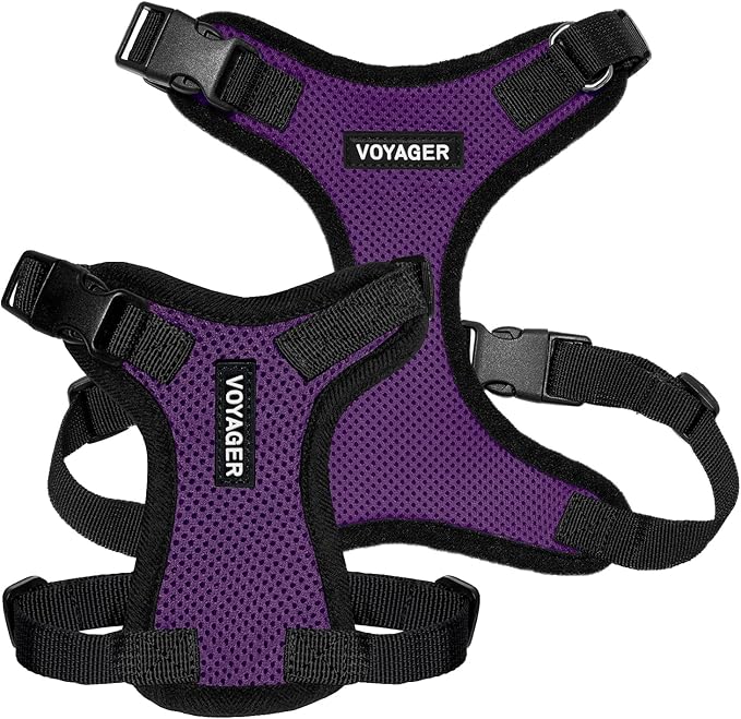 Voyager Step-in Lock Pet Harness - All Weather Mesh, Adjustable Step in Harness for Cats and Dogs by Best Pet Supplies - Purple/Black Trim, XL