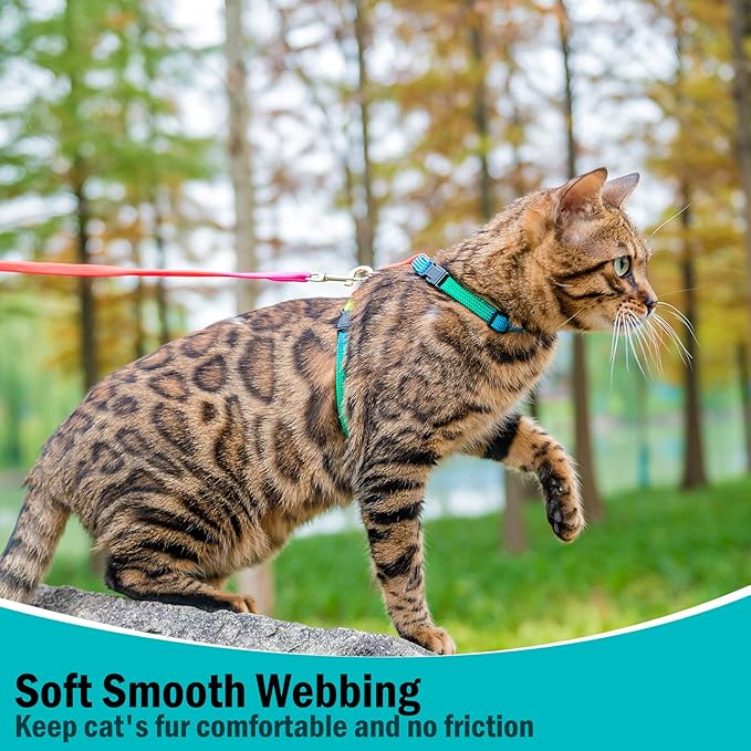 PUPTECK Adjustable Cat Harness and Leash Set Escape Proof Kitten Strap Collar for Walking Travel, Multicolor