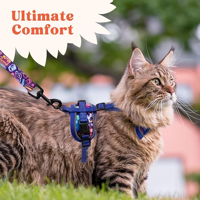 Cat Harness and Leash Set for Walking, Escape Proof Vest Harnesses for Cats, Breathable Mesh with Reflective Strips - (Neon Nights), XX-Small