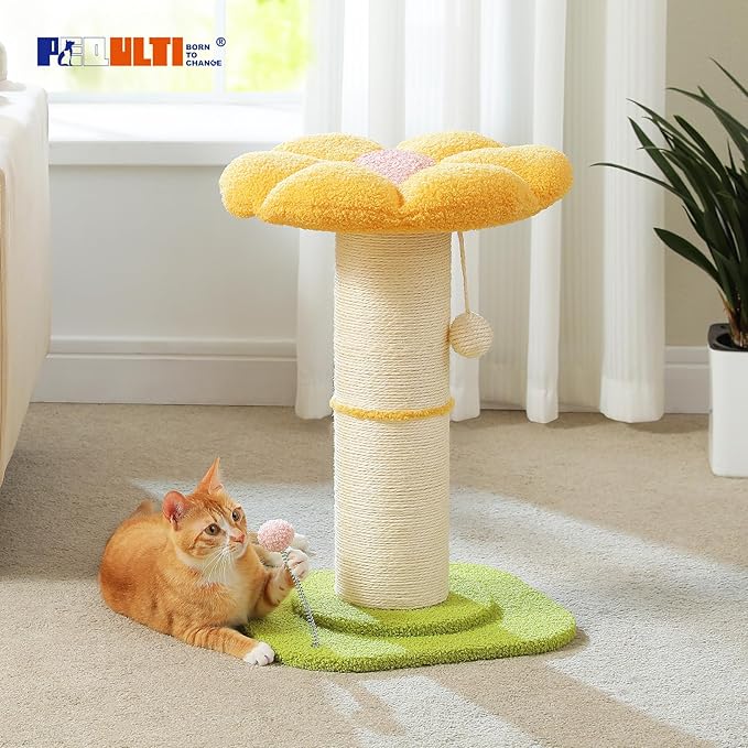 PEQULTI Flower Cat Scratching Post, Small Cat Tree, Tall Cat Scratcher for Indoor Cats with Super Thick Scratching Post [Dia=5.5''], Removable Flower Cat Bed, Cat Scratch Post with Spring Ball, Yellow