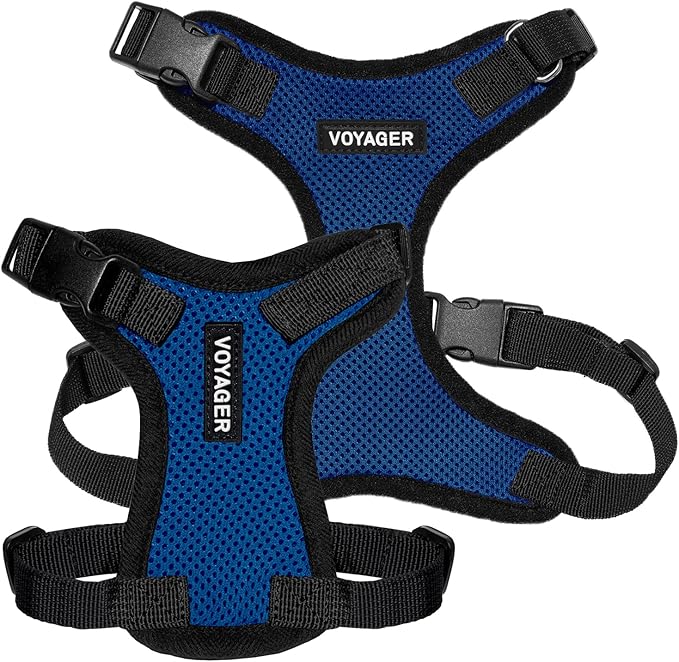 Voyager Step-in Lock Pet Harness - All Weather Mesh, Adjustable Step in Harness for Cats and Dogs by Best Pet Supplies - Royal Blue/Black Trim, S