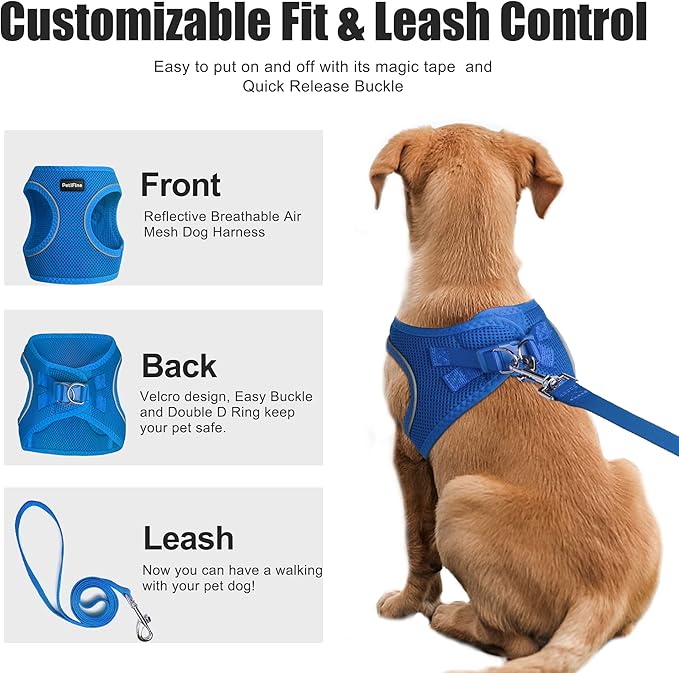PetiFine Step in Small Dog Harness and Leash Set, Breathable All Weather Air Mesh Reflective Escape Proof, Step-in Vest Harnesses for Puppy(XS, Baby Blue)