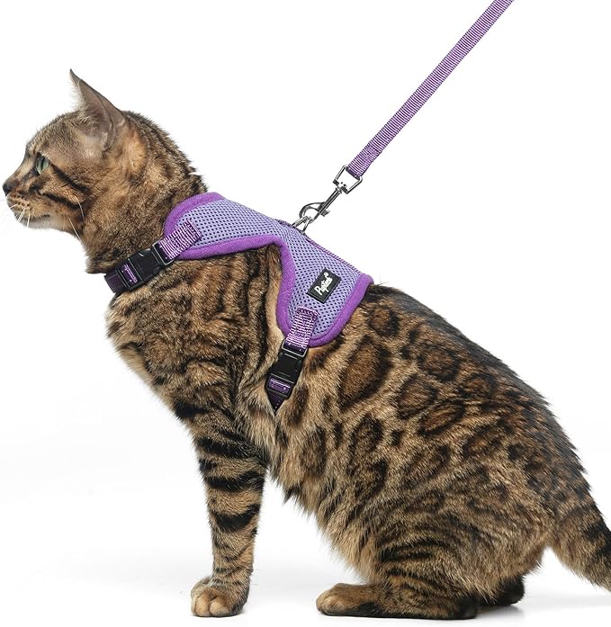 PUPTECK Cat Harness and Leash Set Escape Proof, Reflective Adjustable Soft Mesh Kitten Vest Harness for Walking Travel, Purple, M