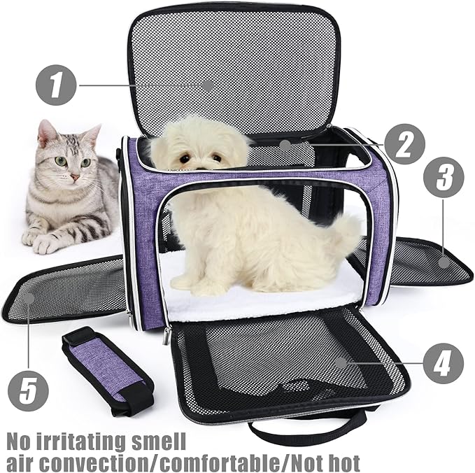 BAGLHER Pet Travel Carrier, Cat Carriers Dog Carrier for Small Medium Cats Dogs Puppies, Airline Approved Small Dog Carrier Soft Sided, Collapsible Puppy Carrier. Purple