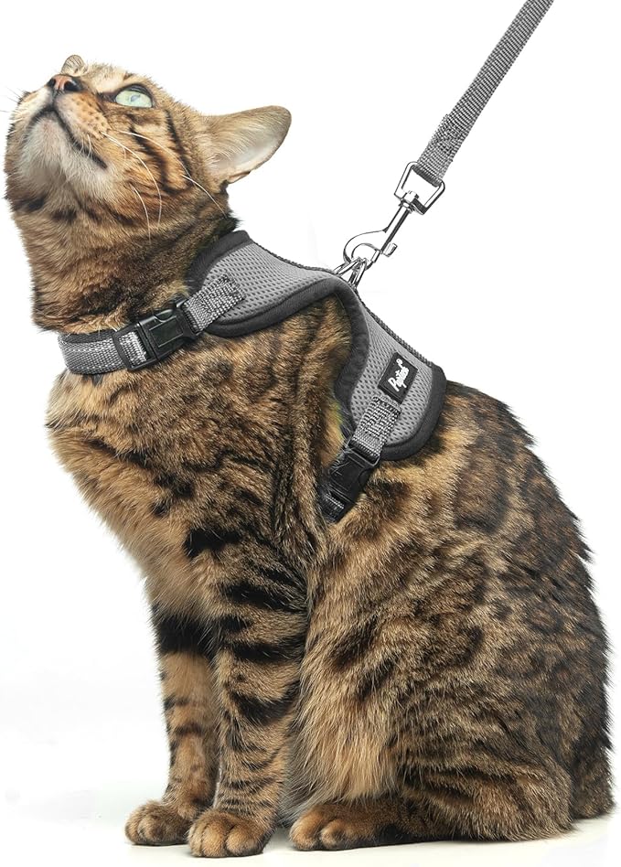 PUPTECK Cat Harness and Leash Set Escape Proof, Reflective Adjustable Soft Mesh Kitten Vest Harness for Walking Travel, Grey, M