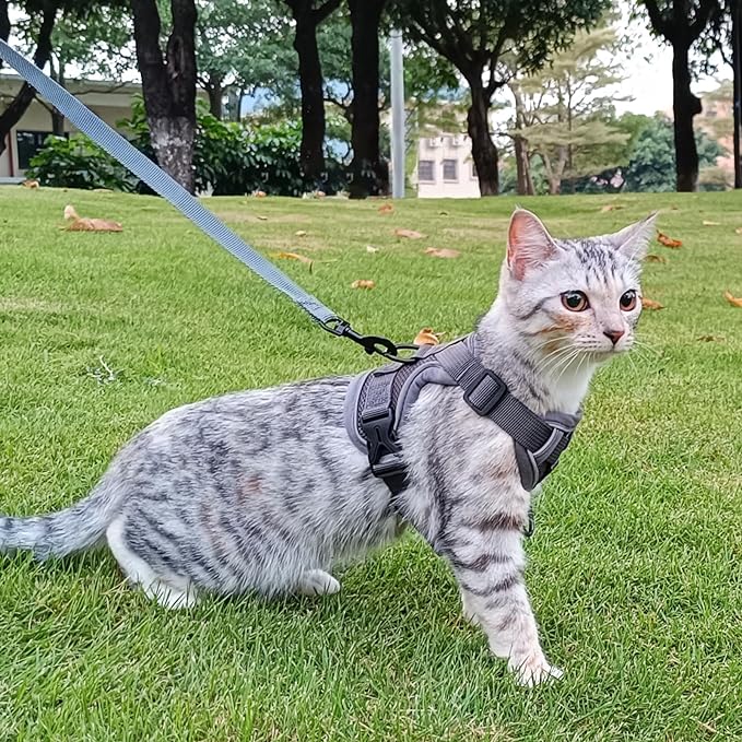 Cat Harness and Leash Set Escape Proof Tactical Large Kitten Harness Emotional Support Cat Vest, Grey, L